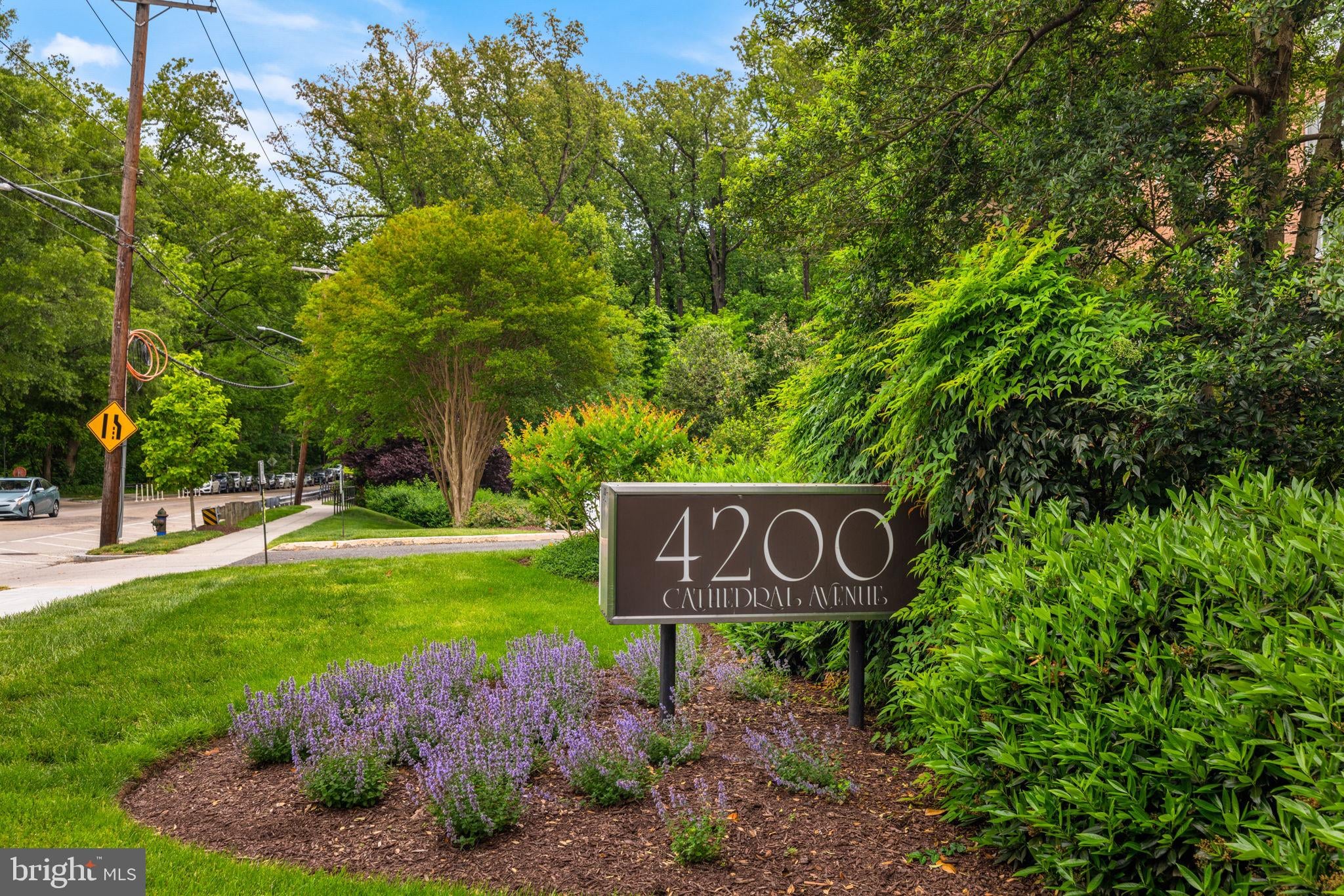 4200 Cathedral Avenue NW 901 photo 1