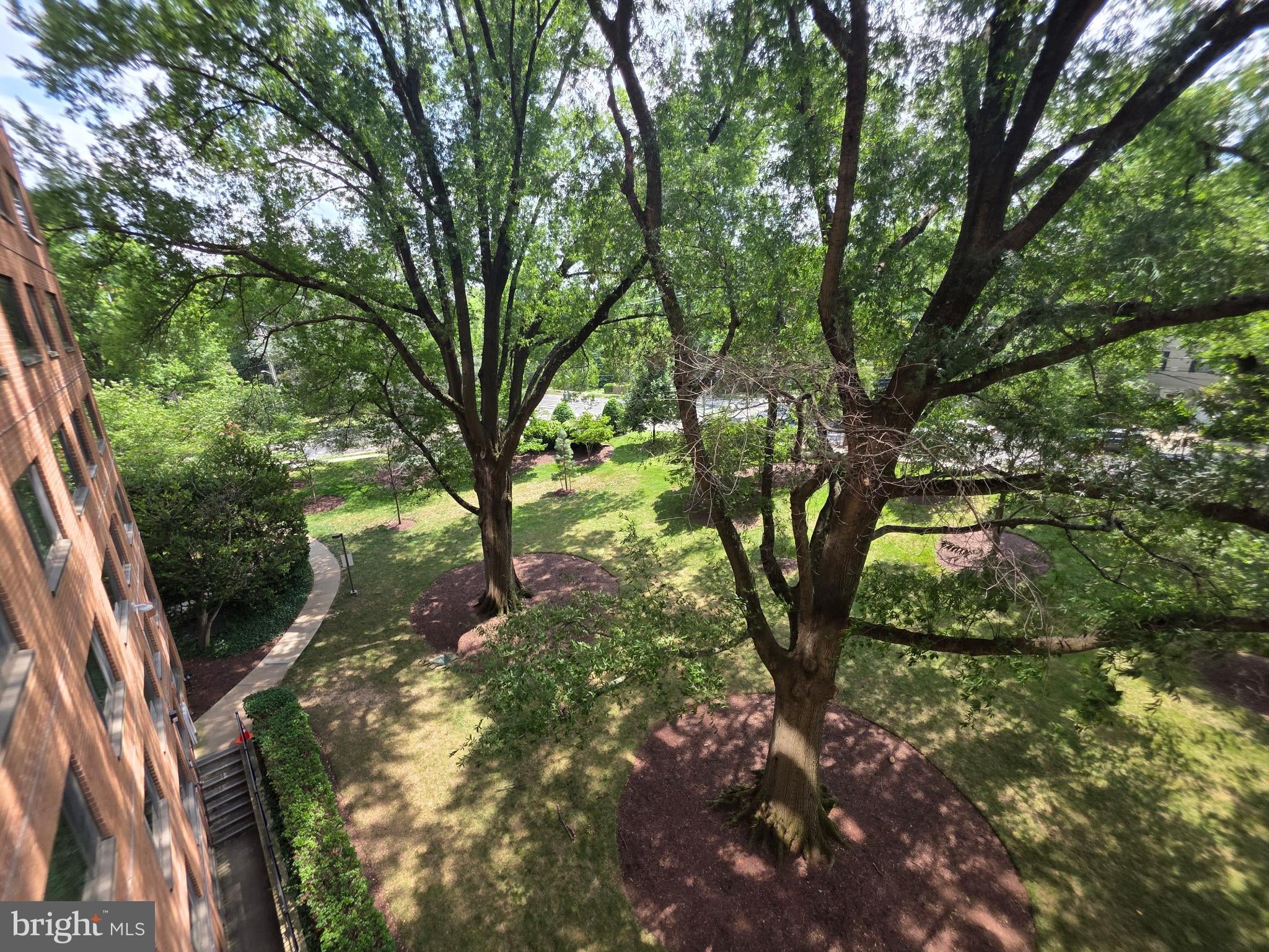 4201 Cathedral Avenue NW 513W photo 100