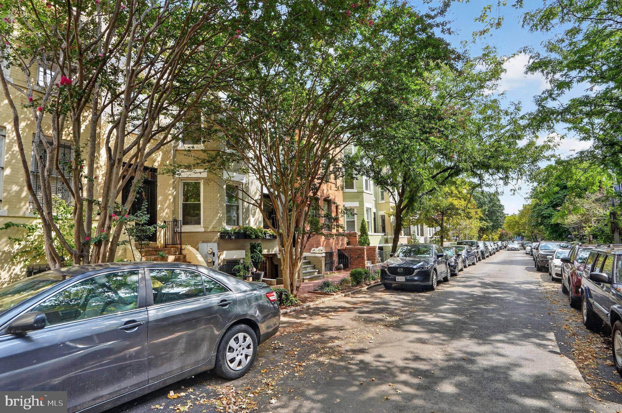 1761 Willard Street NW photo 60